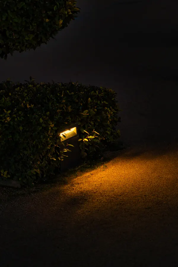 Lampe de jardin encastrée dans une haie projetant une lumière chaude et dorée sur un chemin de gravier dans l'obscurité, créant une ambiance nocturne paisible.